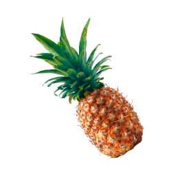 Подкаст «Инклюзивный ананас»